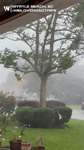 ⛈️ A powerful storm swept through Myrtle Beach, SC yesterday, bringing heavy rain and strong winds. Gusts were strong enough to topple this potted plants as the system moved through. | WeatherNation