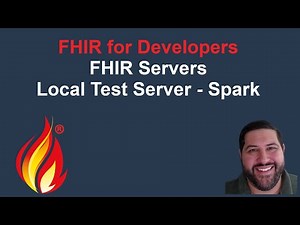 FHIR Local Test Server - Spark