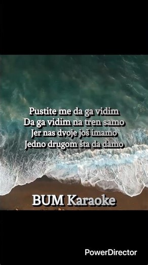 Ceca - Pustite me da ga vidim - Karaoke