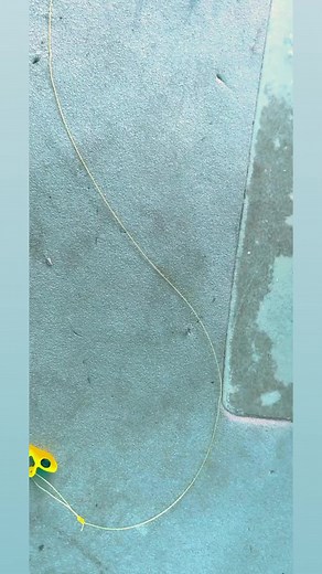 2.2K views · 25 reactions | Double the fun, double the catch!  Professional Crappie fisherman and guide, Brad Chappell Guide Service, is hooked on the crappie action with a tandem rig!  Who needs luck when you've got a perfectly rigged setup using Bobby Garland Crappie Baits? Check out his tips for rigging for success in this video.#TandemRig #Crappie #FishingTips #BobbyGarlandCrappieBaits | Crappie NOW | Facebook