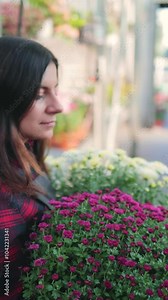 Back view of attractive female gardener, woman walking through the greenhouse with two flower pots of blooming chrysanthemums and placing the pots on a rack