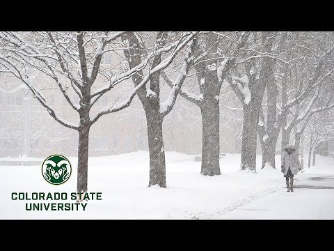 What is Thundersnow? What Causes This Rare Winter Storm?