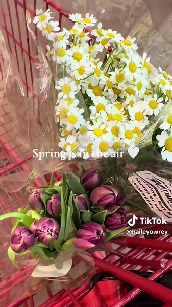 Spring is finally here! 🌸✨ Getting ready for the season of blooms and sunshine 🫶🏼#SpringVibes #HelloSpring #SpringIsComing #FreshStarts #SeasonOfChange #ViralVibes #SpringAwakening #TrendingNow