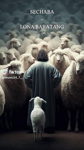 MUSIC 24/7 on TikTok