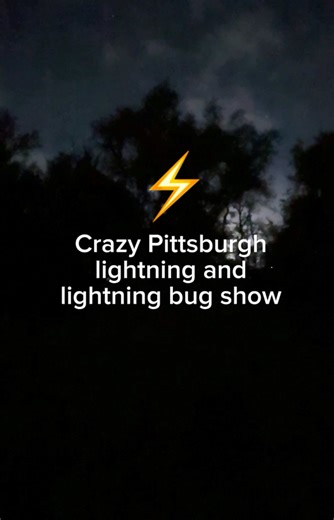 Cra￼zy Pittsburgh, lightning and lightning bug show tonight #pittsburgh #steelcity #412 #weather #Lightning #￼lightningbugs #Fireflies #summer #summernights | Johnny Pittsburgh