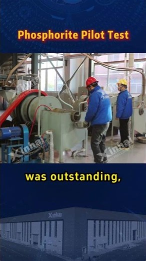 Pilot-scale testing of phosphate ore