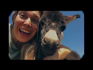 Erica Boschiero - RESPIRA (Breathe)