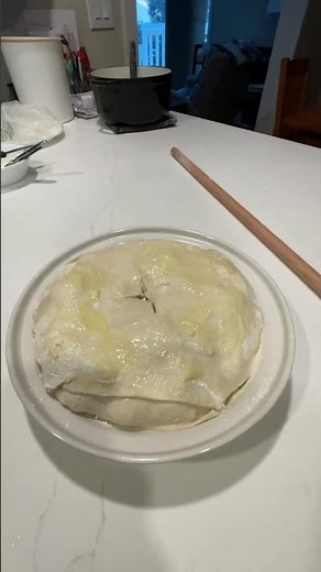 Chicken pot pie with homemade phyllo dough