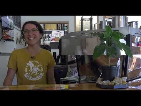 Oceanside RV Park – Coffee, Community, and Coastal Living in Gold Beach, Oregon