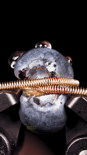 You’ve Never Seen These Objects Like This! Super Macro