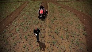 5.5K views · 119 reactions | Today we started to cut the maze design into the giant maize field. It’s the biggest maize maze in Europe so it’s a BIG job! The tractor follows the GPS coordinates cutting out the pathways. Any guesses what this year’s design will be!? Hope we haven’t given too much away with the drone video!    里 ???? We open 16th July. #maizemaze #yorkshire #getlost #familydayout #summerfun | York Maze | Facebook