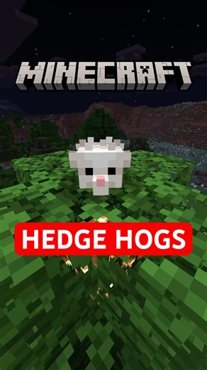 Hedge Hogs Explained in Minecraft #minecraftshorts #animalshorts #animalsvideo #minecraft