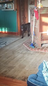 Hobos one smart pup ❤ | The Toy Train Barn Museum