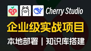 B站最详细的Cherry Studio使用教程，手把手教会你用CherryStudio搭建本地AI知识库，保姆级教程！带你从入门到实战！大模型/LLM/本地部署