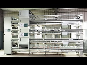 Automatic Baby Chicks Cage, Brooder Cage System