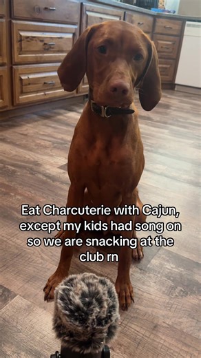 Sarah B (@missourisarah)’s videos with original sound - Sarah B