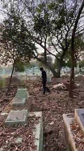 480K views · 7.6K reactions | credit - Live 29.1.2020 at 5:00 pm | Phyo Myat Aung's Activities | Facebook