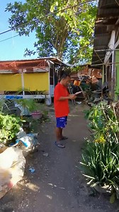 227K views · 4.6K reactions | Ganti ng api kay uncle seven bawi tulog pa more eyyyyy laptrip hahaha. | Idol Red | Facebook