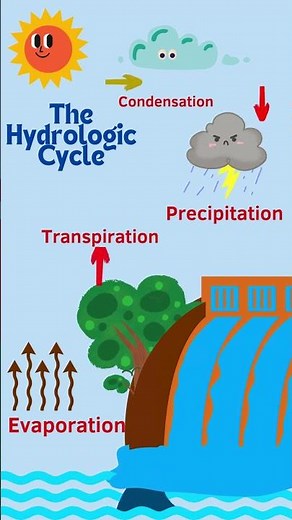 Explained Water Cycle in just 1 minute! 🌧️☀️💧 #watercycle #simplelearning