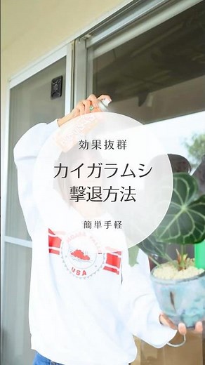 【冬でも大繁殖】カイガラムシは撃退方法#園芸 #plants #観葉植物