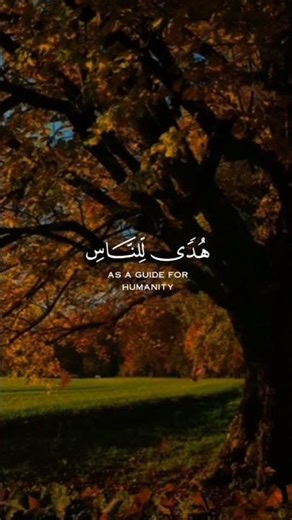 ١٨ فبراير ٢٠٢٦