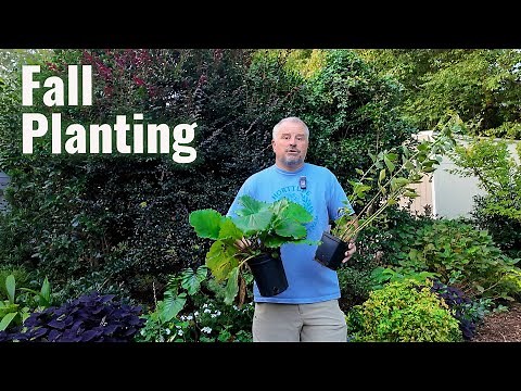 Fall Planting Explained: Smart Choices vs. Mistakes