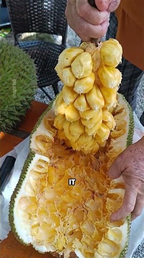 The Tropical Fruit Europe Can’t Find – Cempedak