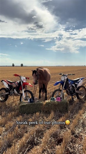 Website Launch Announcement This Week