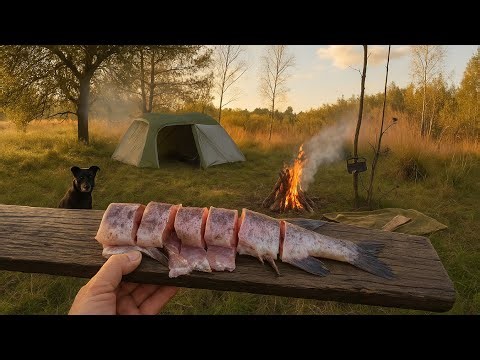 Fishing Camping on an Island with Just My Dog and Gear