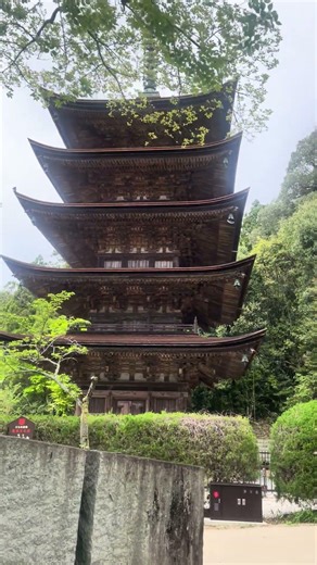 瑠璃光寺五重塔