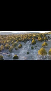 6.3K views · 315 reactions | #mountainbiking #lifestyle #SierraTarahumara     CREEL Mountain bike. Luna mtb | Creel pueblo mágico | Facebook