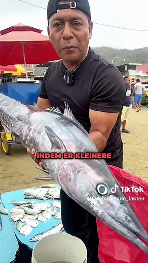 Die 3 giftigsten Fische, die man nicht essen sollte