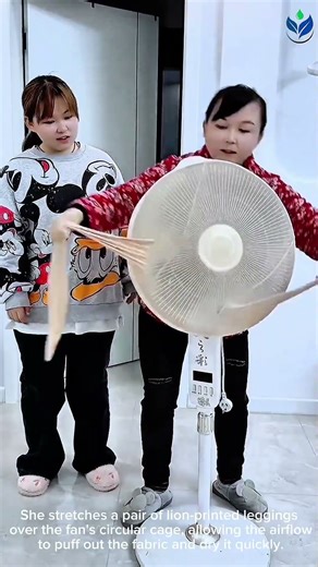 This EASY Trick Keeps Your Fan CLEAN Without Scrubbing Today 🏠