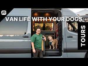The Perfect Dog-Friendly Camper Van Setup