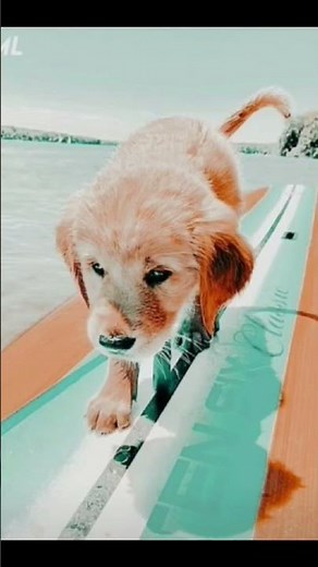 Preppy profile pics ideas