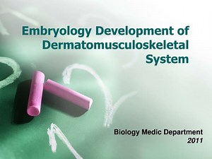 Embryology Development of Dermatomusculoskeletal System - SlideServe