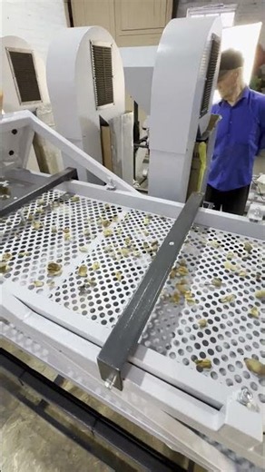 Walnut sorting #walnut #processing
