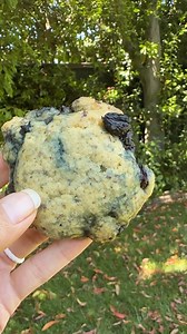 Comment LEMON COOKIES and I’ll dm the recipe to you! 🍋 🫐 These vegan lemon blueberry cookies are soft, slightly crumbly, and bursting with flavor in every bite, thanks to lemon juice, zest, & fresh or frozen blueberries! No dough chilling required and they’re ready to enjoy in just 30 minutes! ✨ You can also get the recipe here: https://plantbasedonabudget.com/lemon-blueberry-cookies/ | Plant-Based on a Budget