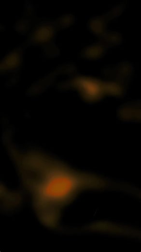 Lovers on the Sun by David Guetta - Lyrics Video