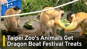 Zoo zongzi. Zookeepers at Taipei Zoo have made special frozen holiday treats for their animals. | TaiwanPlus News