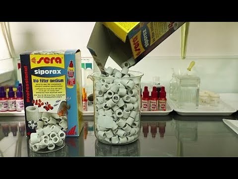 sera siporax – Biological Aquarium Filtration