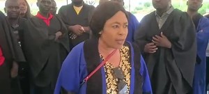 Smart Eagles on Reels