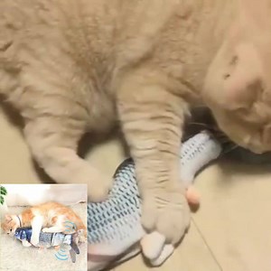 16K views · 129 reactions | Electric catnip fish toy will flop or moving automatically. Make your cat excited and relieve your cat's mood and stress, a good choice for your cat! High-Quality Materials Potent Catnip Realistic Fish Design Click Here >> https://cutt.ly/dtTN0yu | MiniInTheBox | Facebook