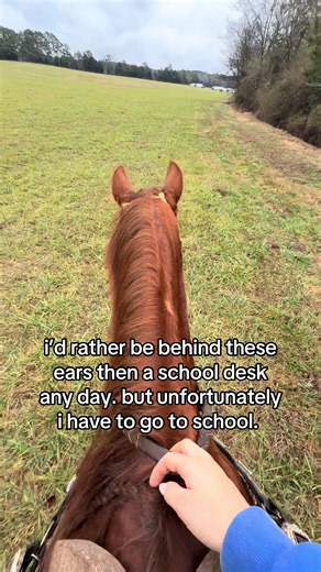 madelynstack (@madelynstack)’s video of Desk