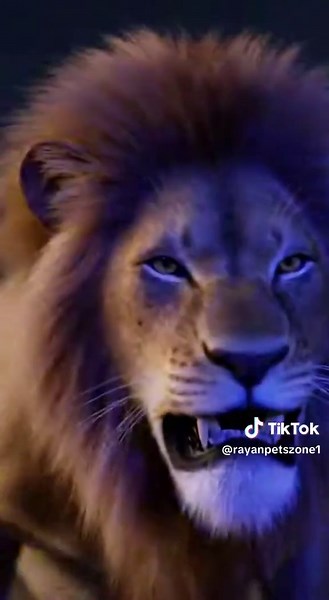 Warthog vs Lions: An Unforgettable Wildlife Encounter