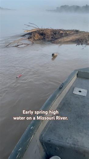 Another search & rescue for Bank poles. High water, spring fishing on the Missouri River. #viral ￼￼
