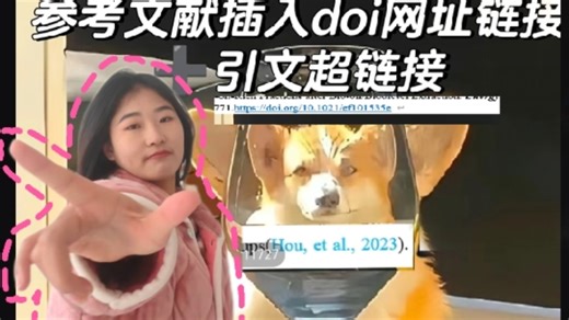 endnote 插入参考文献DOI 链接