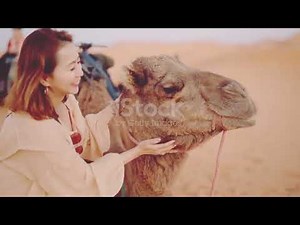 Arbi song ❌আরবি গান❌Arabi Song ❌arbi song dj❌arabic remix 2026 new arbi song❌arbi dj remix song❌