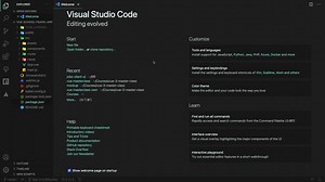 The Scaffolded Codebase (Vue CLI Only)