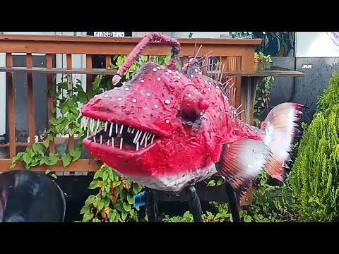 Oregon coast. Driving.